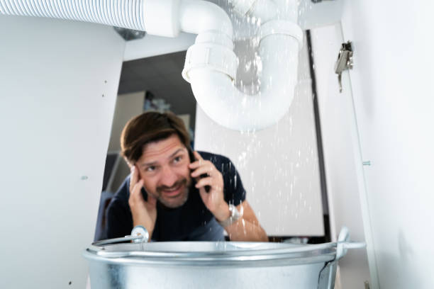 Best Clogged Drain Plumber  in Three Points, AZ